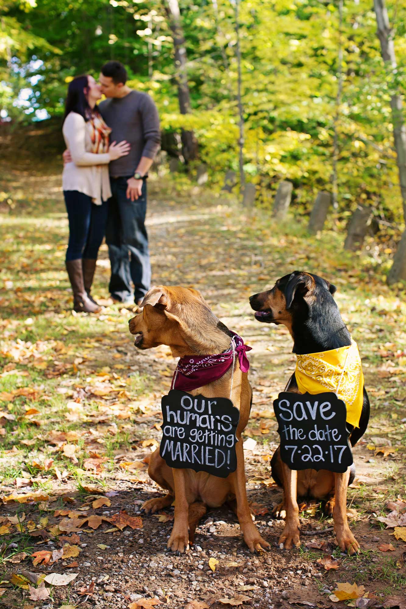 Julie & Matt Alevtina Photography